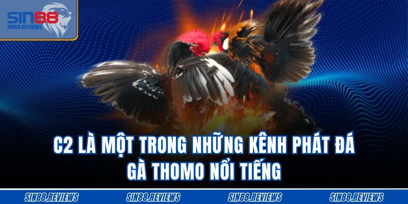 C2 là một trong những kênh phát đá gà Thomo nổi tiếng