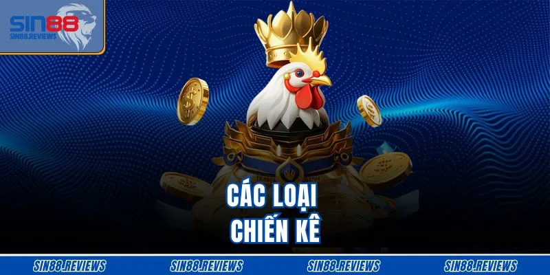 Các loại chiến kê 