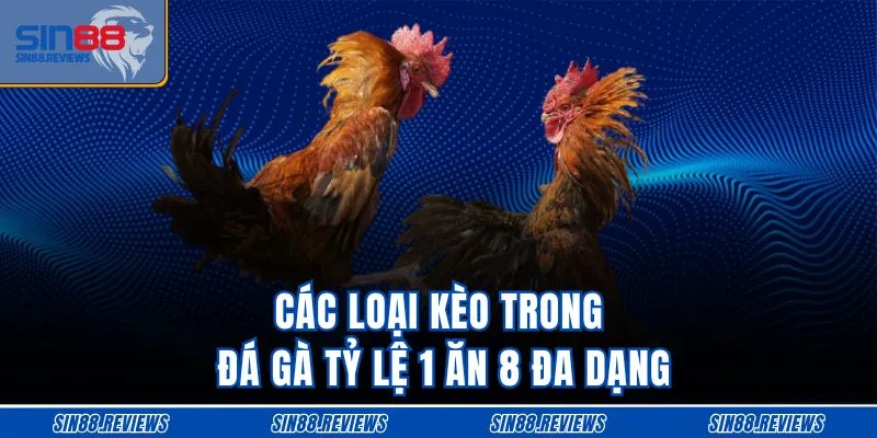 Các loại kèo trong đá gà tỷ lệ 1 ăn 8 đa dạng 