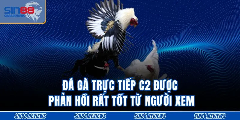 Đá gà trực tiếp C2 được phản hồi rất tốt từ người xem