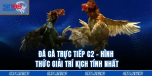 Đá Gà Trực Tiếp C2 - Hình Thức Giải Trí Kịch Tính Nhất
