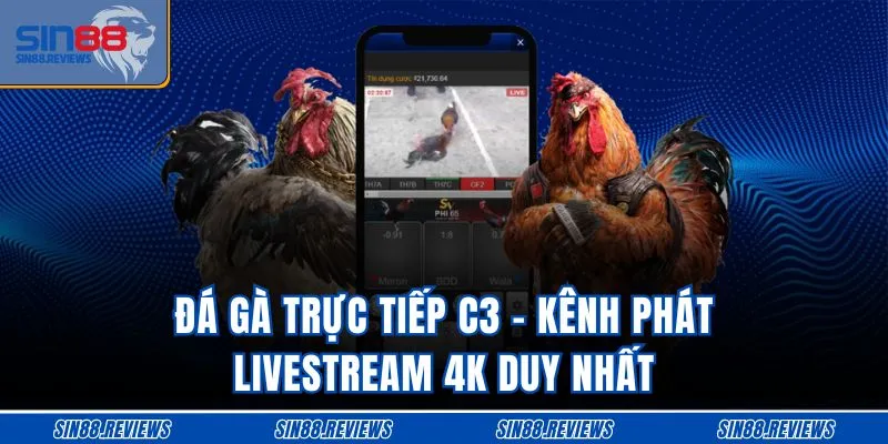Đá Gà Trực Tiếp C3 - Kênh Phát Livestream 4K Duy Nhất VN