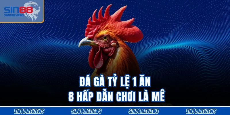 Đá gà tỷ lệ 1 ăn 8 hấp dẫn chơi là mê