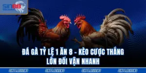 Đá Gà Tỷ Lệ 1 Ăn 8 - Kèo Cược Thắng Lớn Đổi Vận Nhanh