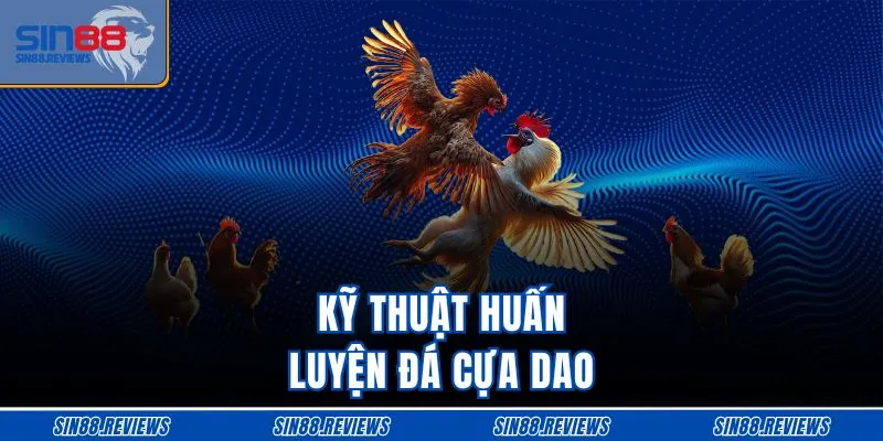 Kỹ thuật huấn luyện đá cựa dao   