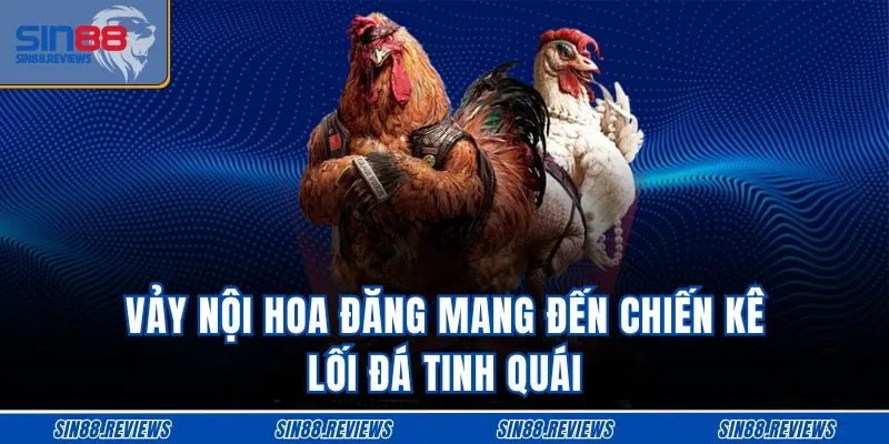 Vảy nội hoa đăng mang đến chiến kê lối đá tinh quái